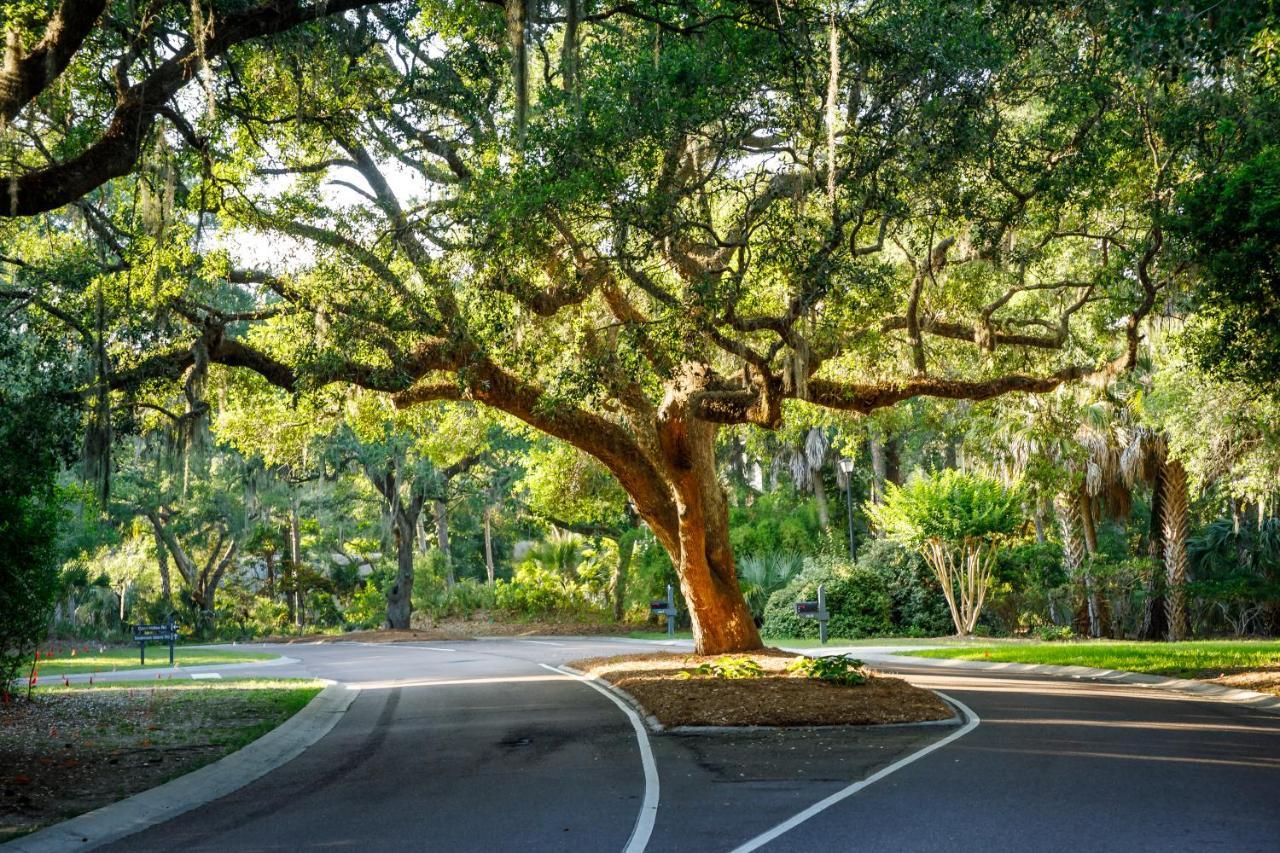 1313 Pelican Watch - Seabrook Island - Beachfront 5 Star Condo - Fido Friendly 외부 사진