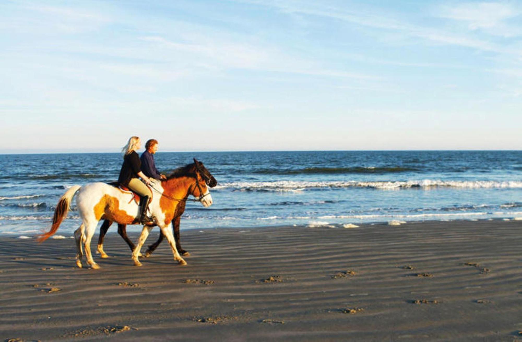 1313 Pelican Watch - Seabrook Island - Beachfront 5 Star Condo - Fido Friendly 외부 사진
